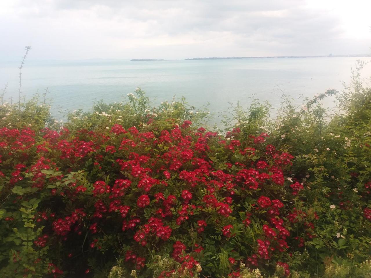 Hotel Sea Vista Sveti Vlas Εξωτερικό φωτογραφία